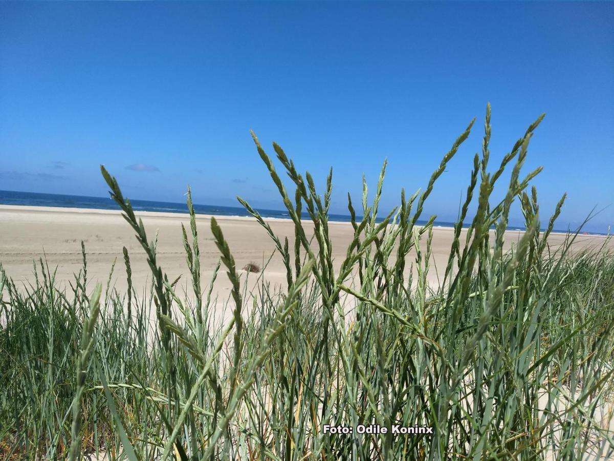 Klein Heemshof - Noord Holland Aan Uw Voeten Warmenhuizen Екстериор снимка